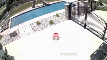 Fly Camera GIF
