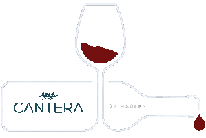 Cheers Wine Sticker by cantera_cocinadelvalle