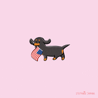 Voting American Flag GIF by Stefanie Shank