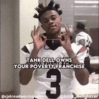 Houston Texans Tank GIF