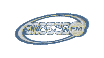 Radio Station Glitch Sticker