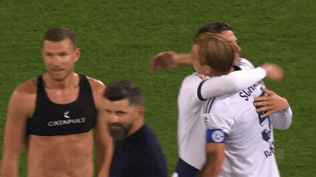 Bundesliga Hug GIF by FC Schalke 04