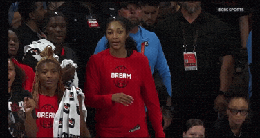 I Told You GIF by Atlanta Dream
