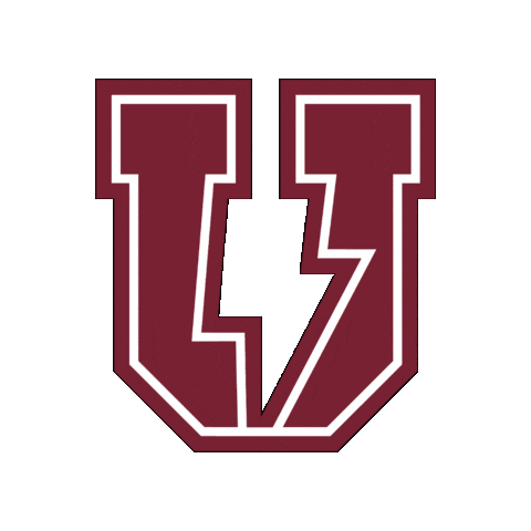 Garnet Chargers Sticker by Union College