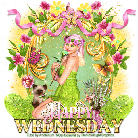 Happy Wednesday GIF