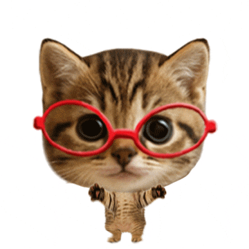 Happy Cat GIF