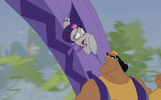 Emperors New Groove Whatever GIF