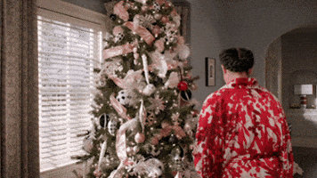 Christmas Tree GIF by ABC Network