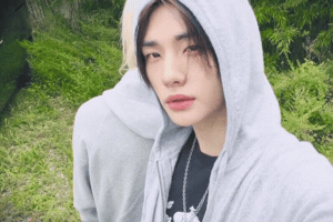 Stray Kids Lee Felix GIF