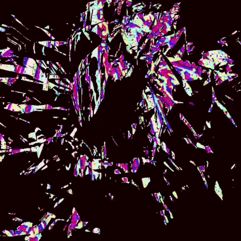 Glitch Art Perfect Loop GIF by LetsGlitchIt