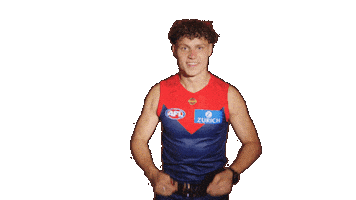 Melbourne Demons Sunglasses Sticker by Melbournefc