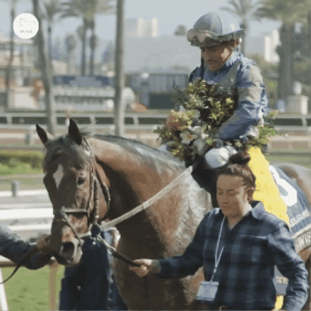 Winner Celebrate GIF by World Horse Racing