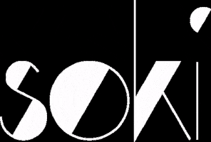 soki_kassel logo soki soki logo GIF