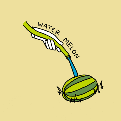 Watermelon GIF