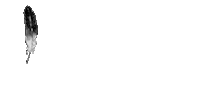 coktin doviz Sticker