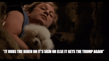 Trump GIF