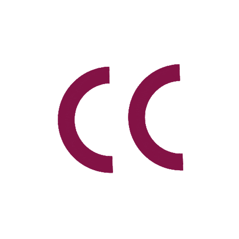 Brinox Oficial Sticker