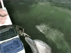kissing home video GIF