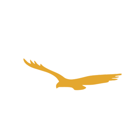 Comida Gourmet Sticker by Grupo Trivio