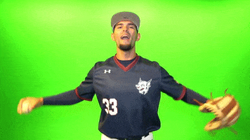 Excited Baseball Player GIF by STUMiami