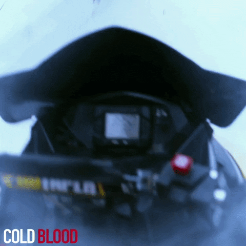 screenmediafilms screen media films screen media cold blood cold blood movie GIF