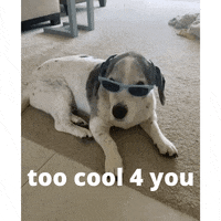 200.gif