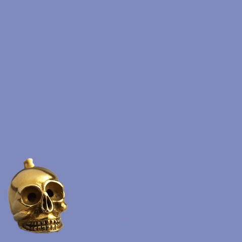 HuntMuseum skull ireland museum museums GIF