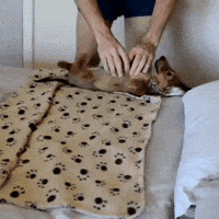 200.gif