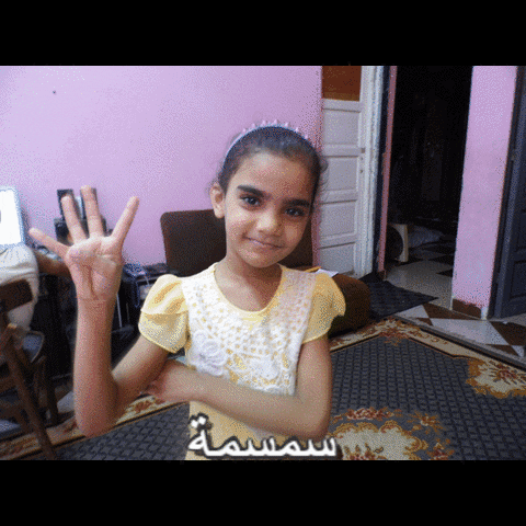 wael  GIF