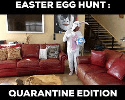 200.gif?cid=fc005b08b1d8e23c48b75aac3055537c9452efbf4e8ac8f0&rid=200.gif&ct=g