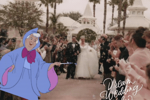 Disney Fairytale Weddings GIF