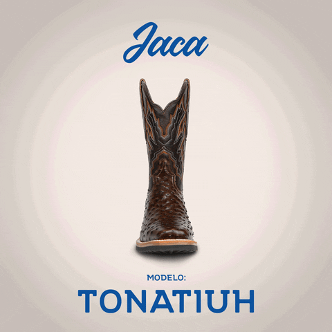 GIF by Botas Jaca