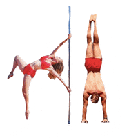 Handstand GIFs - Find & Share on GIPHY