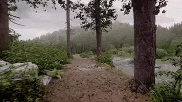 Ps4 GIF