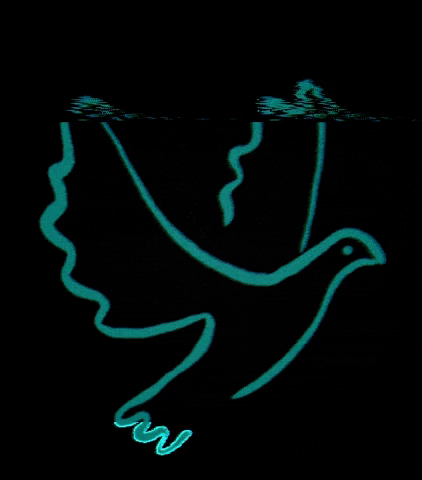 @brieftaubenaktion GIF