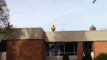 College Life Dancing GIF by George Fox University