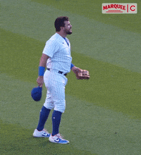 Cubs Flythew GIF - Cubs Flythew Cadengreco - Discover & Share GIFs