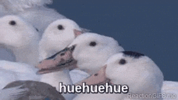 huehue GIF - huehue GIF