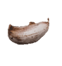 grillart Sticker