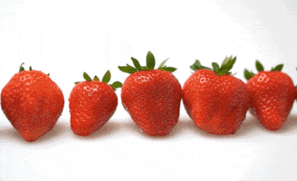 schorn schorn schornbeeren schorn-erdbeeren erdbeeren-schorn GIF