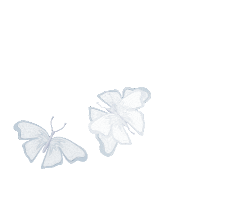 Source: Nora Fikse
