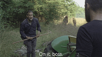 Will Do You Got It GIF by The Walking Dead