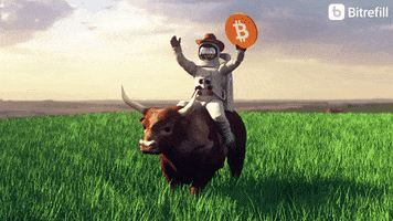 Bitcoin Bullrun GIF by Bitrefill