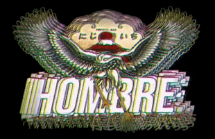 Hombre21 fly flying illusion 21 GIF
