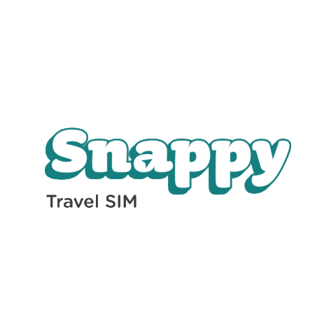 Travel Sim Sticker by Big Sky Nation