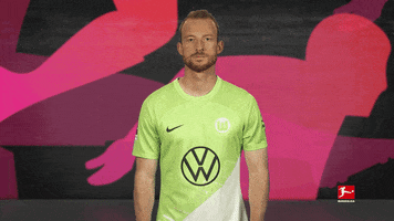 Vfl Wolfsburg Love GIF by Bundesliga