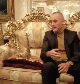 giphy.gif?cid=790b76110933088517937e2ecc