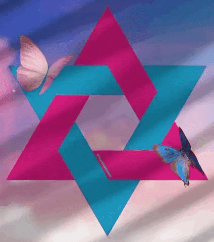 transgreaser star pride butterfly trans GIF