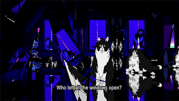 Cats House GIF by Spaghetti