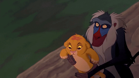 The-lion-king GIFs - Get the best GIF on GIPHY